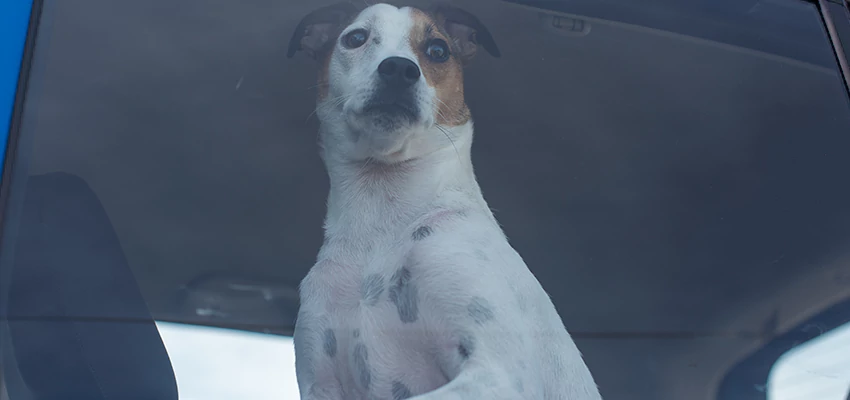 Car Lockout Solutions in Fresno, California